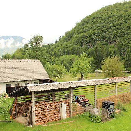 Apartments Villa Dov Бохінь Екстер'єр фото