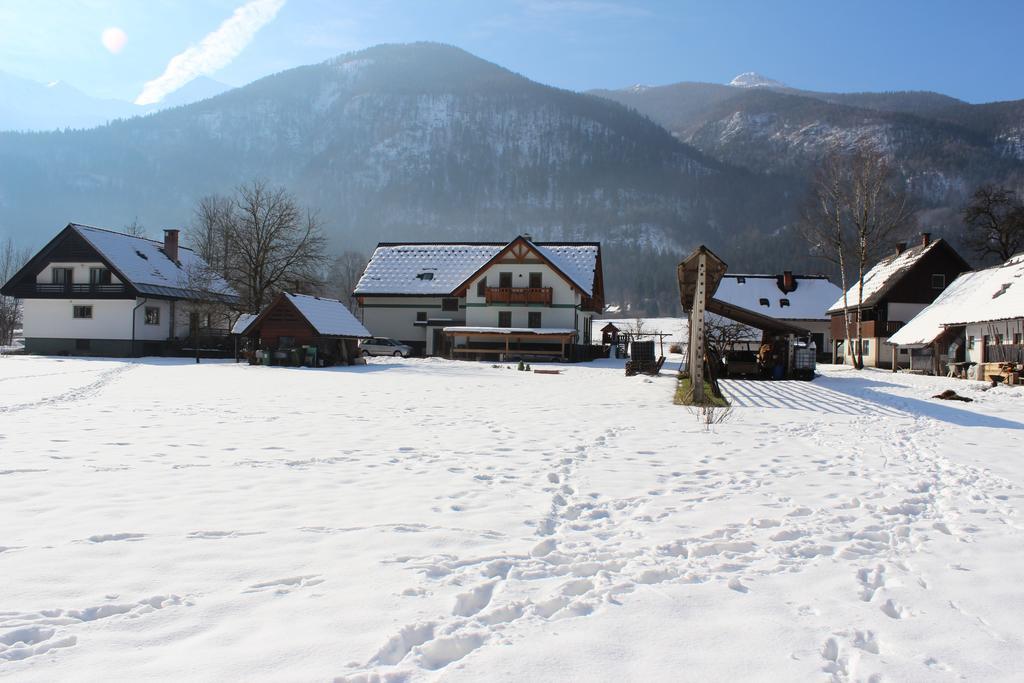 Apartments Villa Dov Бохінь Екстер'єр фото