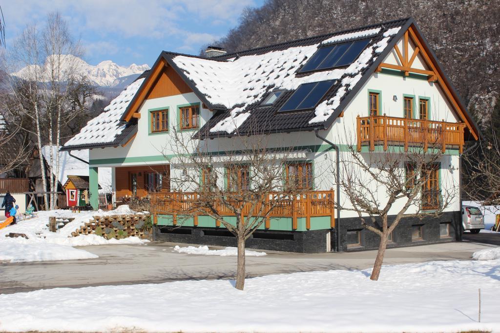 Apartments Villa Dov Бохінь Екстер'єр фото