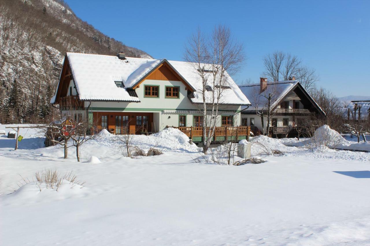 Apartments Villa Dov Бохінь Екстер'єр фото